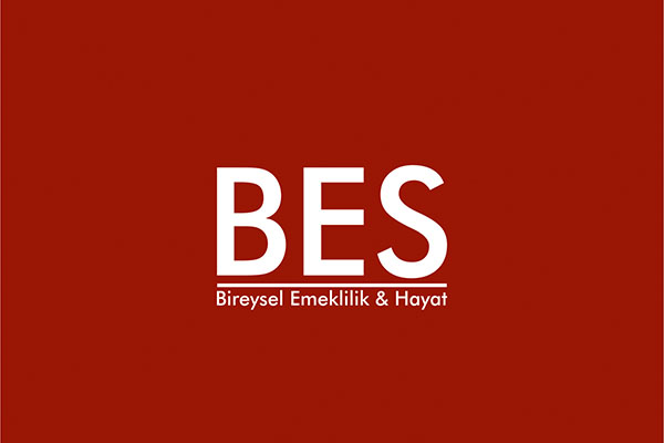 Bireysel Emeklilik ve Hayat Sigortasi